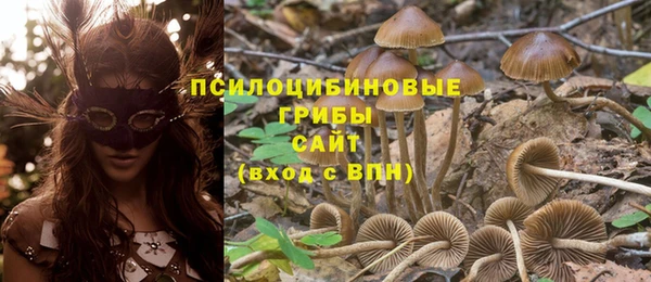 прущая мука Арсеньев