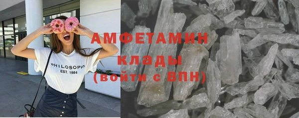 прущие грибы Алексин