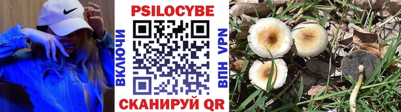Галлюциногенные грибы ЛСД mega ONION Аша даркнет сайт